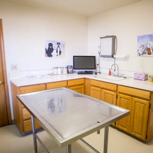 View of exam room at Oregon City Veterinary Clinic